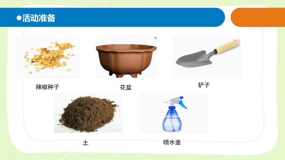 2021青岛版六制五年级科学下册第三单元11《种辣椒》课件.pptx_第2页