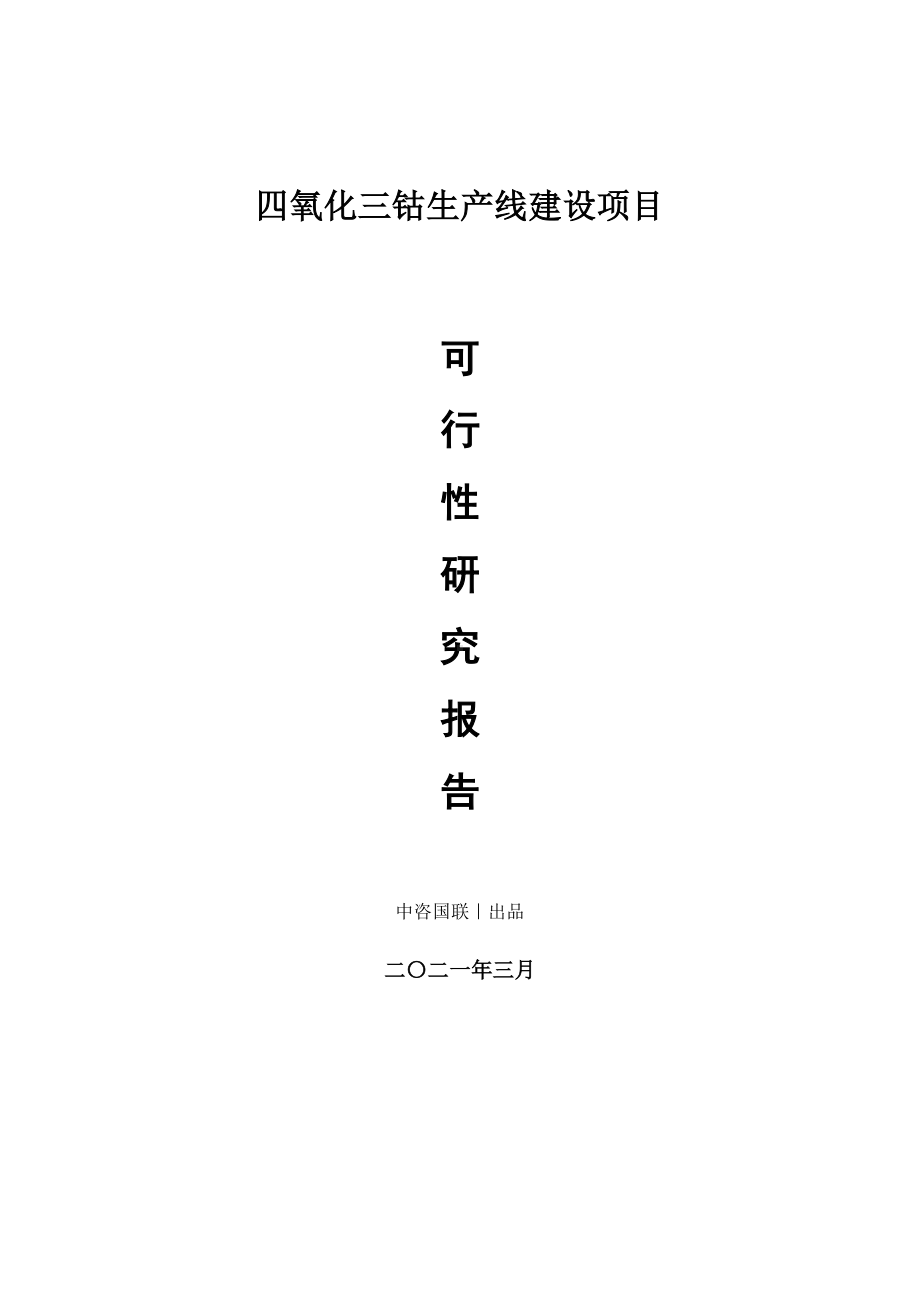 四氧化三钴生产建设项目可行性研究报告.doc_第1页