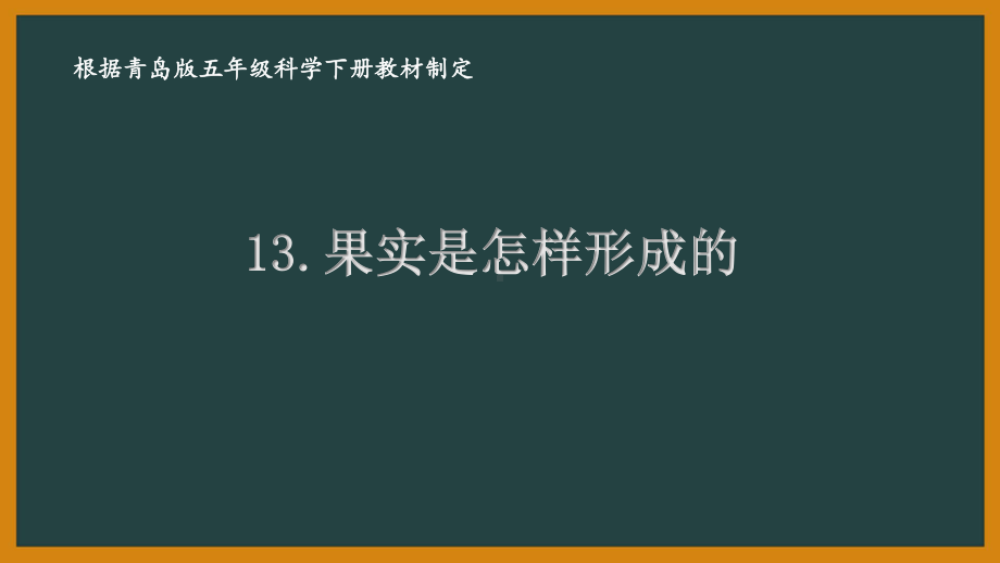 2021青岛版六制五年级科学下册第三单元13《果实是怎样形成的》课件.ppt_第1页