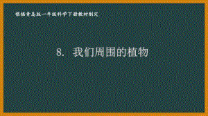 2021六三制《新青岛版一年级科学下册》第三单元《和植物握个手》全部课件（共4课时）.pptx