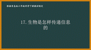 2021六制《青岛版六年级科学下册》第四单元17《生物是怎样传递信息的》课件.pptx