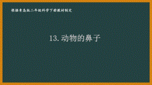 2021六制《青岛版二年级科学下册》第四单元13《动物的鼻子》课件.ppt