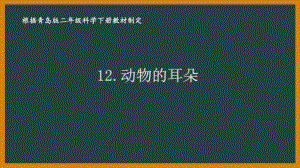 2021六制《青岛版二年级科学下册》第四单元12《动物的耳朵》课件.ppt