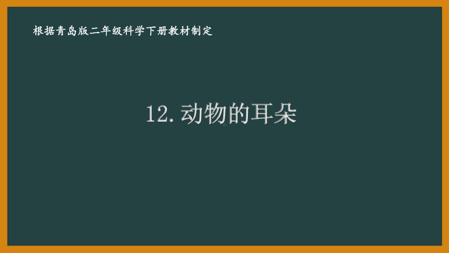 2021六制《青岛版二年级科学下册》第四单元12《动物的耳朵》课件.ppt_第1页