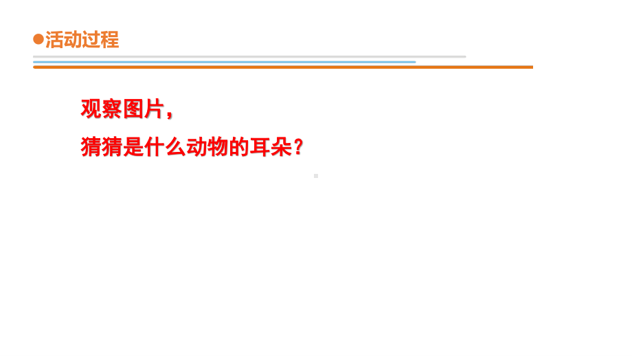 2021六制《青岛版二年级科学下册》第四单元12《动物的耳朵》课件.ppt_第3页