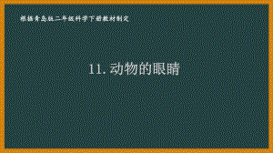 2021六制《青岛版二年级科学下册》第四单元11《动物的眼睛》课件.ppt