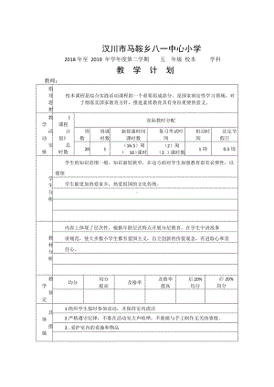 （汉川市XX乡八一中心小学）2019春教学计划 - 校本.docx