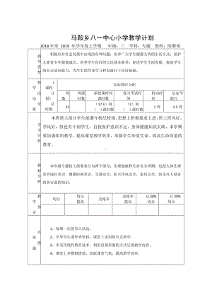 （汉川市XX乡八一中心小学）专题教学计划.docx