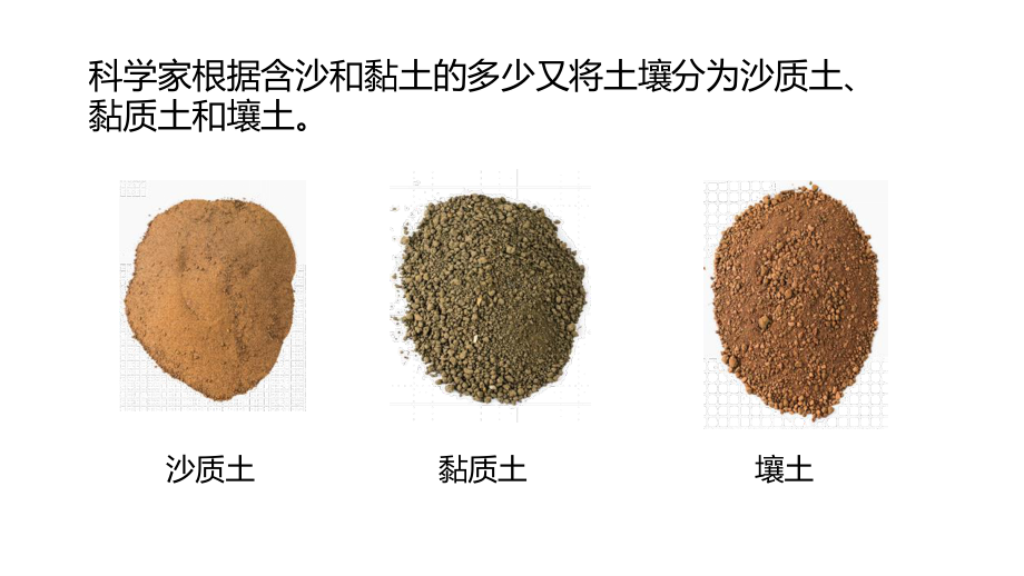 2020新冀教版四年级下册科学《2沙质土、黏质土和壤土》ppt课件.pptx_第3页