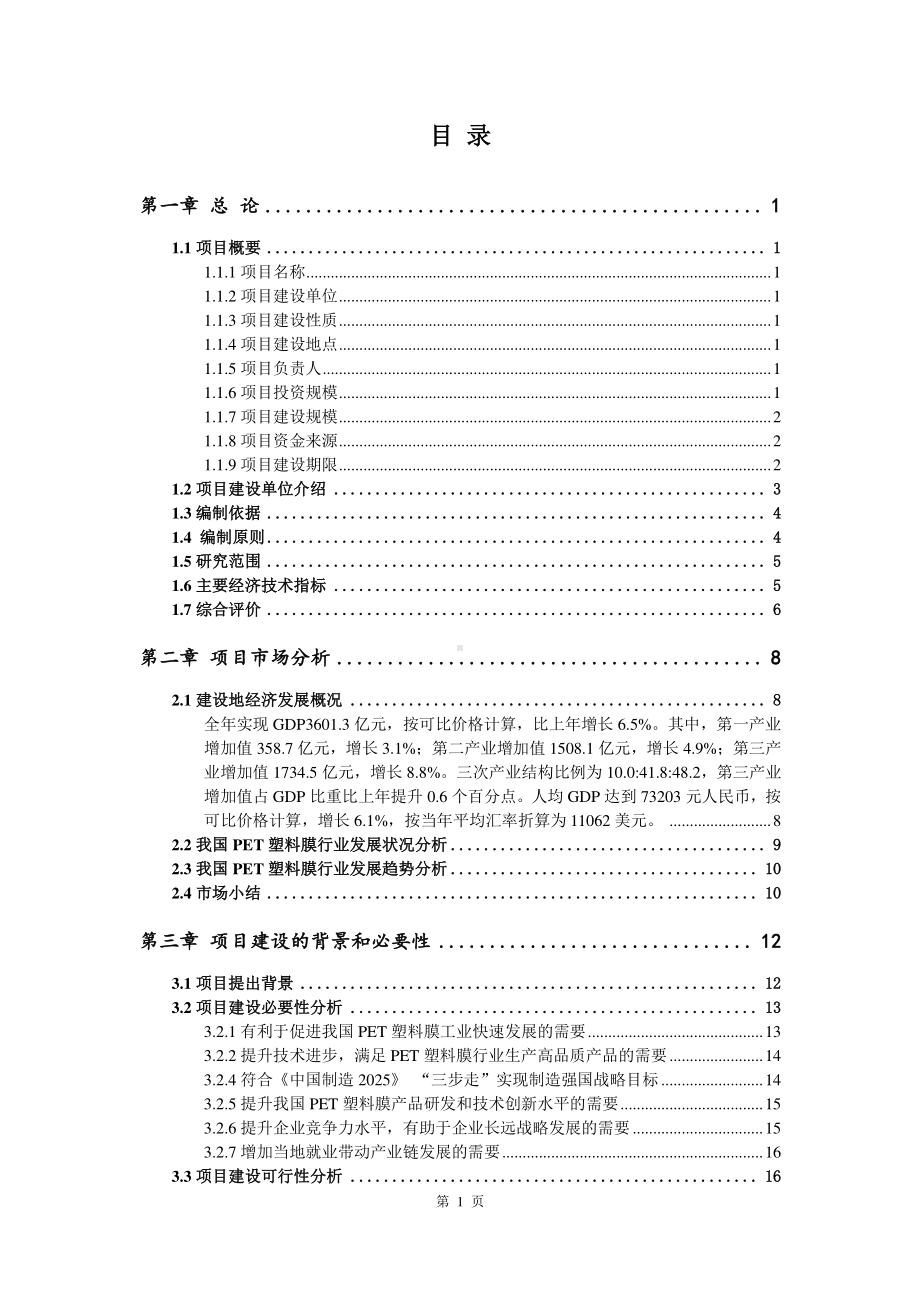 PET塑料膜生产建设项目可行性研究报告.doc_第2页