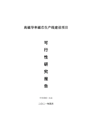 高磁导率磁芯生产建设项目可行性研究报告.doc