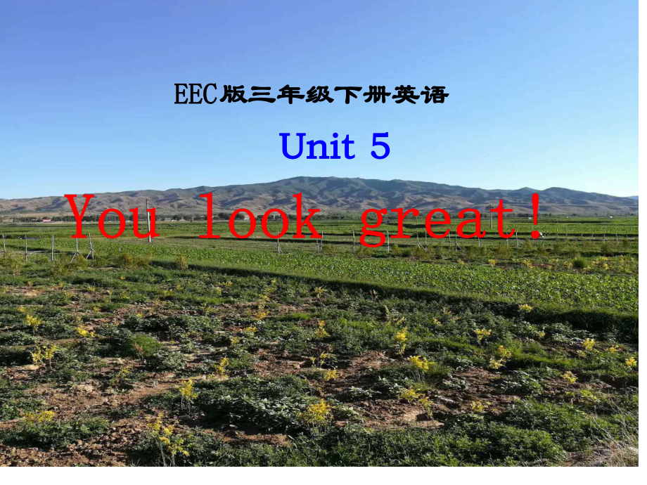 教科EEC版三下-Unit5 You Look Great!-Class 2Textbook p.37-ppt课件-(含教案)--(编号：7011b).zip