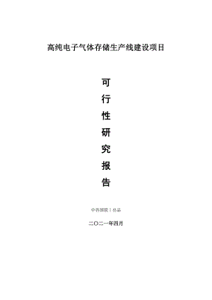 高纯电子气体存储建设项目可行性研究报告.doc