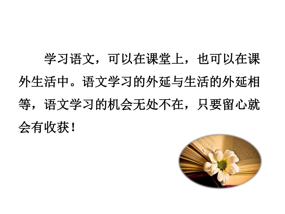 部编人教版七年级语文下册《综合性学习3-我的语文生活》精品PPT优质课件（完美版）.ppt_第2页