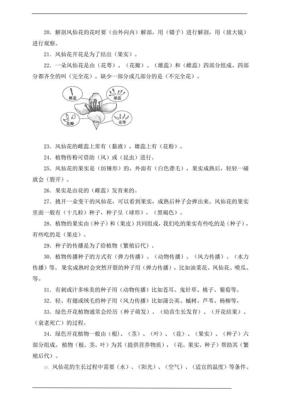 2021新教科版四年级下册科学第一单元植物的生长变化单元知识要点.doc_第2页