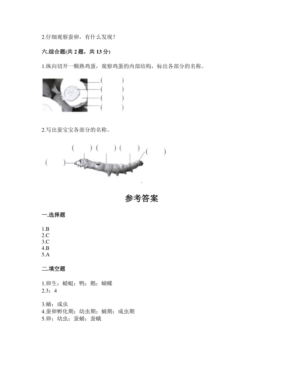 2021新教科版三年级下册科学第二单元动物的一生测试题（含答案）.doc_第3页