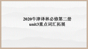 (2021新版)牛津译林版必修二英语unit3 重点词汇+句型ppt课件.pptx