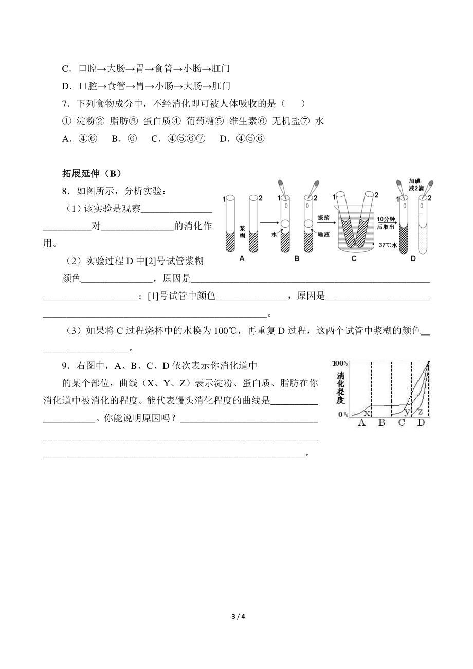 人教版生物七年级下册-4.2.2消化和吸收-学案.doc_第3页