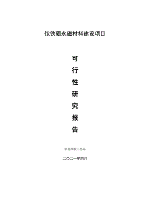 钕铁硼永磁材料建设项目可行性研究报告.doc