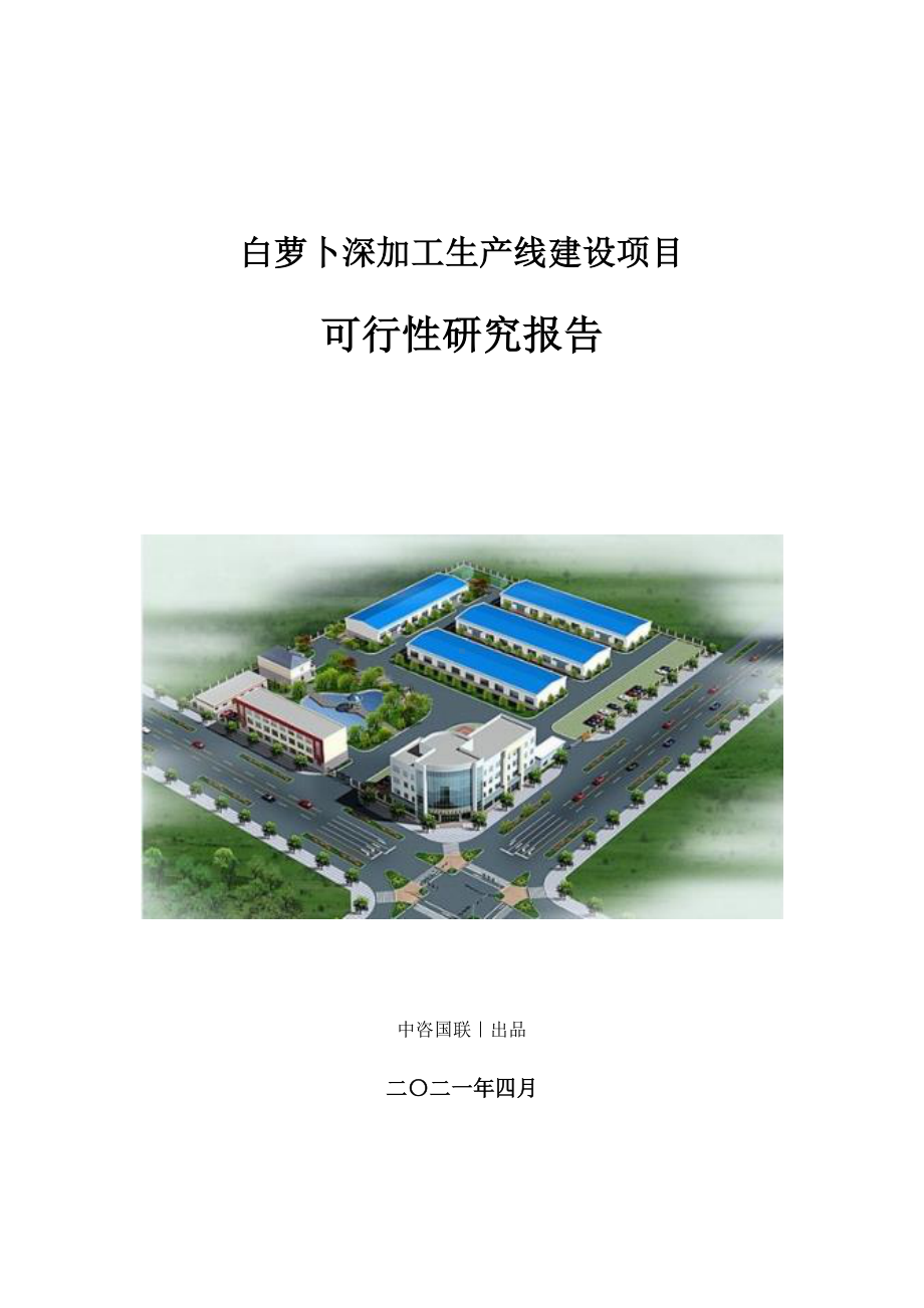 白萝卜深加工生产建设项目可行性研究报告.doc_第1页