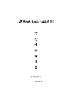 共聚酰胺热熔胶生产建设项目可行性研究报告.doc