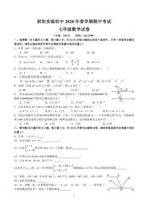 2019-2020盐城射阳实验初一数学下册期中试卷.pdf