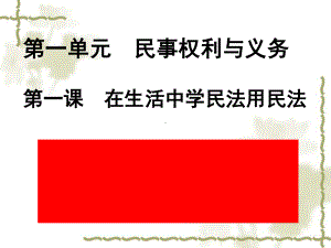 2021新-（部编）统编版高中政治选修二法律与生活：1.2 积极维护人身权利 ppt课件.ppt