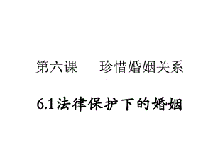 2021新-（部编）统编版高中政治选修二法律与生活：6.1 法律保护下的婚姻 ppt课件.pptx