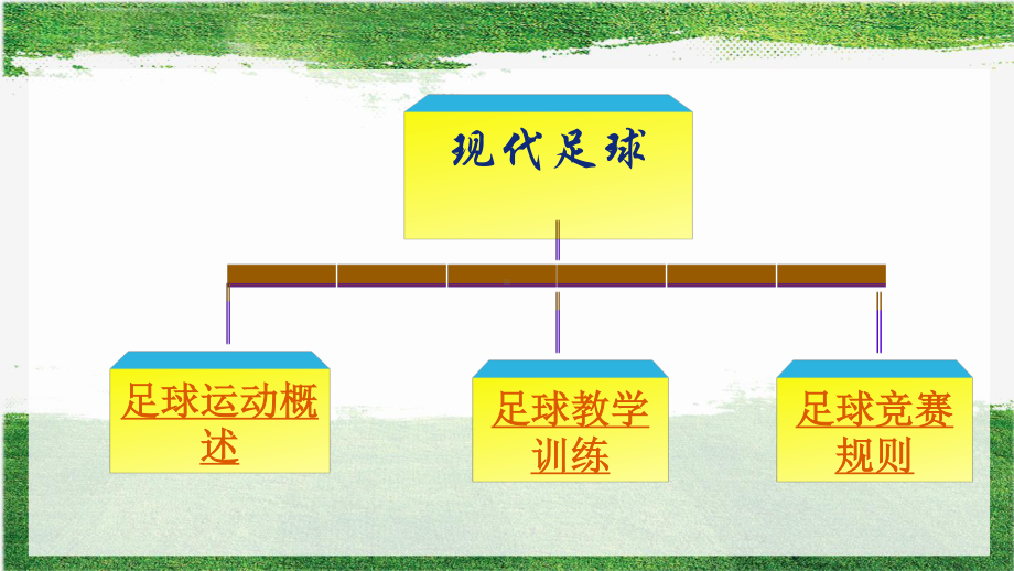 2020-2021学年人教版八年级体育全一册-第3章足球足球运动概述-课件.ppt_第2页