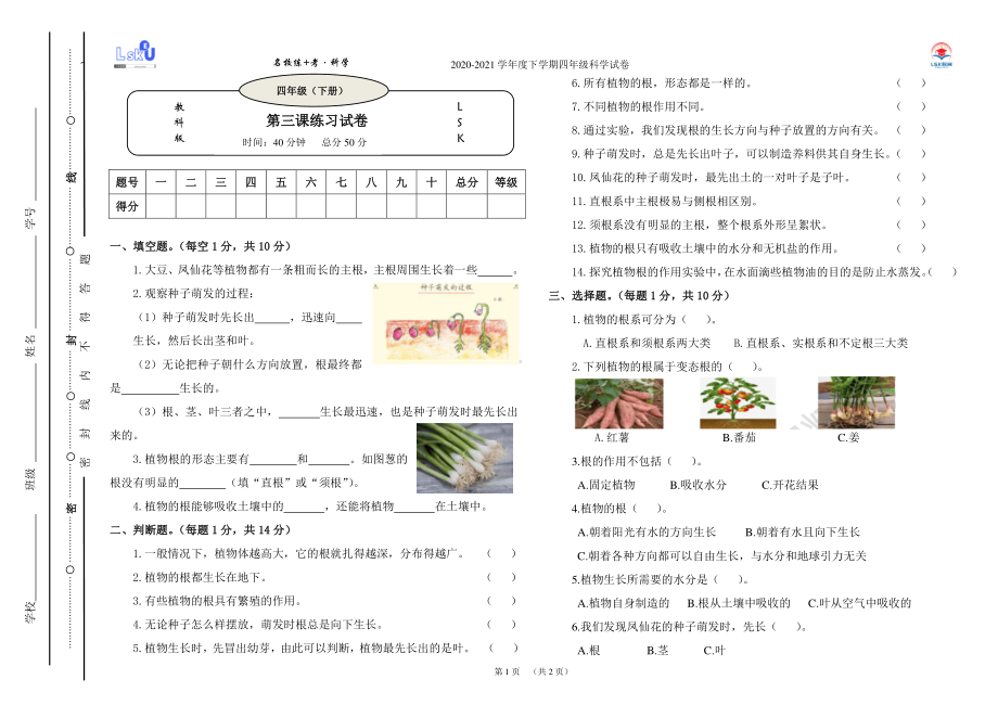 2021新教科版四年级下册《科学》1.3《种子长出了根》练习题（含答案）.doc_第1页