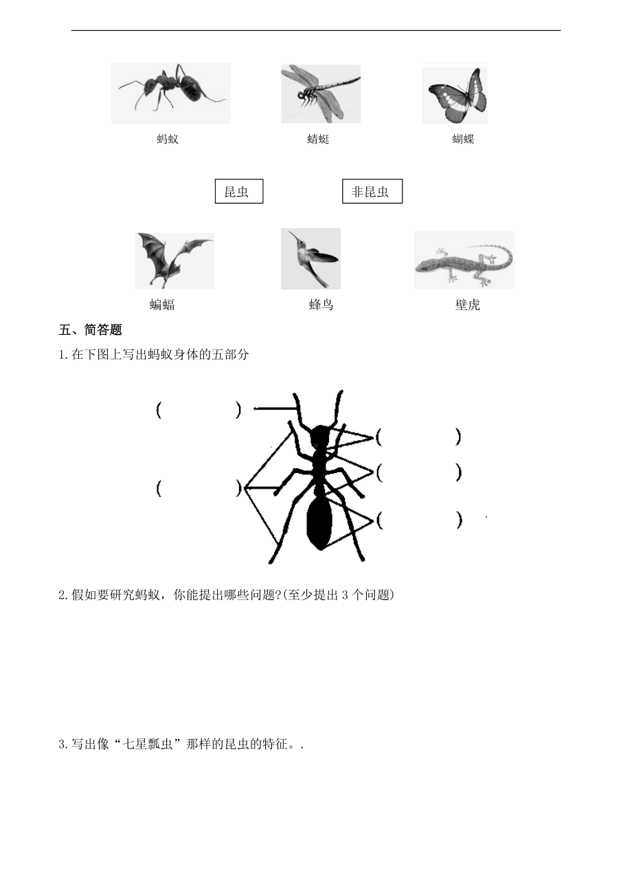 2021新苏教版四年级下册科学第三单元第9课庞大的家族课时作业本（含答案）.doc_第2页