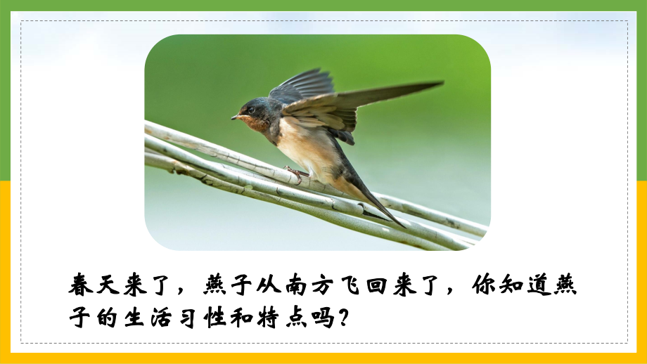 2021新冀人版三年级下册《科学》7、燕子南飞ppt课件.pptx_第3页