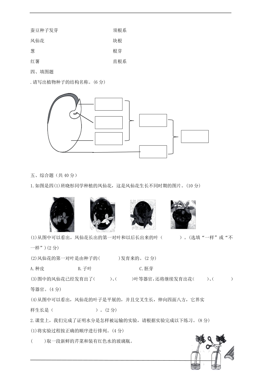 2021新教科版四年级下册《科学》期中检测卷（一）（含答案）.doc_第3页