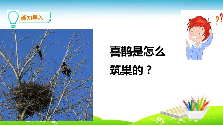 2021新冀人版三年级下册《科学》11.喜鹊筑巢ppt课件.pptx_第3页