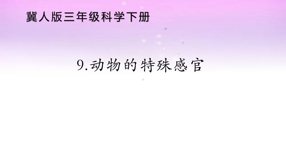 2021新冀人版三年级下册《科学》第二单元第9课《动物的特殊感官》ppt课件.pptx_第1页