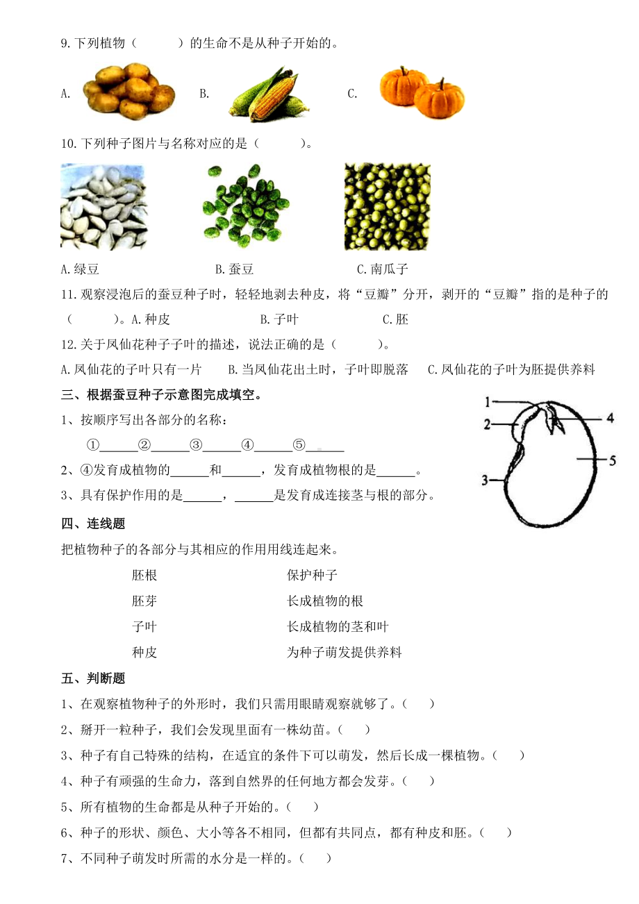 2021新教科版四年级下册《科学》1.种子里孕育着新生命练习题（含答案）.doc_第2页