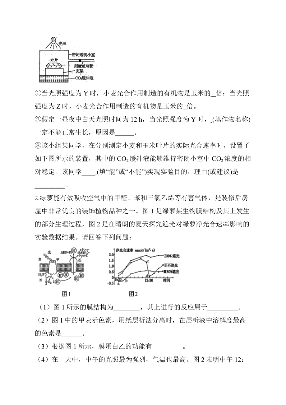 2021届高考生物三轮复习检测训练 光合作用含答案.docx_第2页