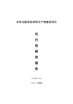 水性功能单体材料生产建设项目可行性研究报告.doc