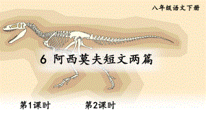 2020-2021初中语文部编版八年级下册同步教案（PPT版）6 阿西莫夫短文两篇.ppt