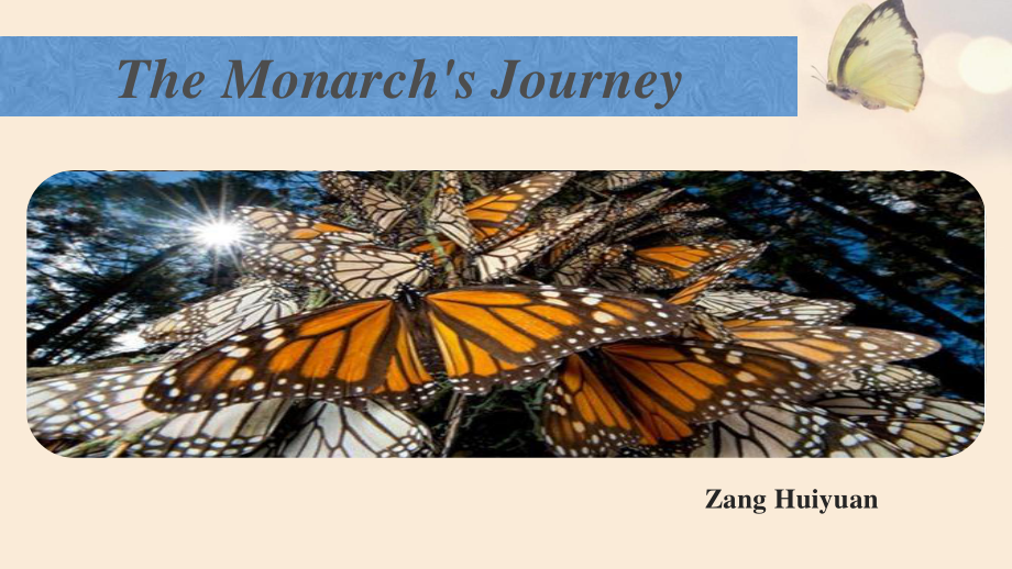 2021版外研版必修一英语unit5 The Monarch‘s Journey 公开课reading ppt课件.pptx_第3页