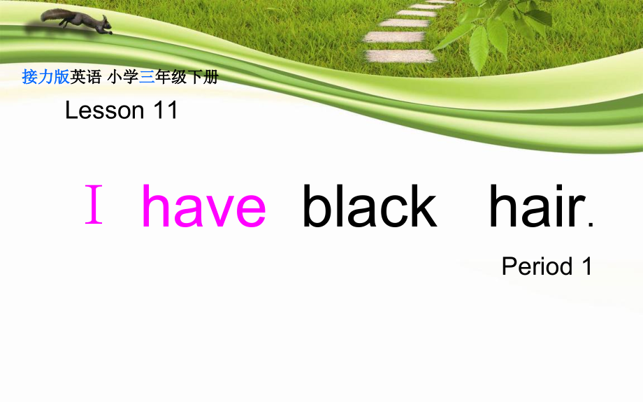 接力版三年级下册Lesson 11 I have black hair.-ppt课件-(含教案)--(编号：00020).zip