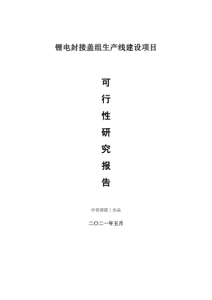 锂电封接盖组生产建设项目可行性研究报告.doc