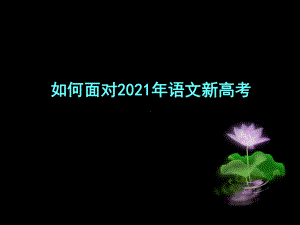 2021届高考语文备考-如何面对2021年语文新高考课件170张PPT.ppt