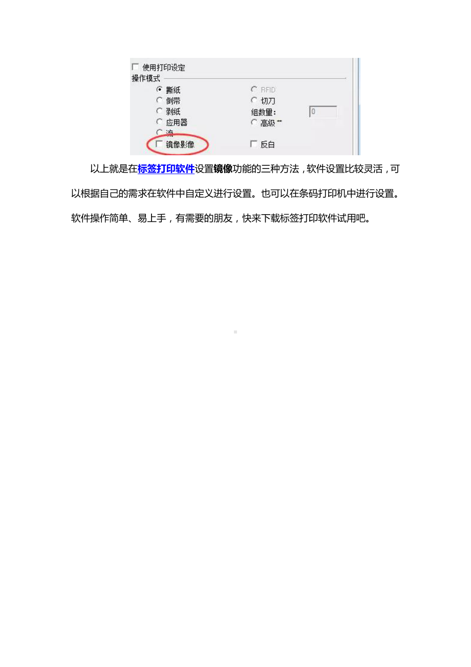 标签打印软件如何设置镜像.docx_第3页