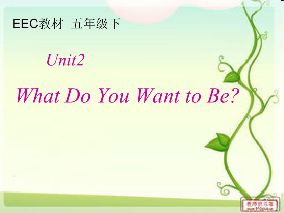 教科EEC版五下Unit2 What Do You Want to Be -Class 3 Textbook p.16-17-ppt课件-(含教案)-公开课-(编号：01686).zip