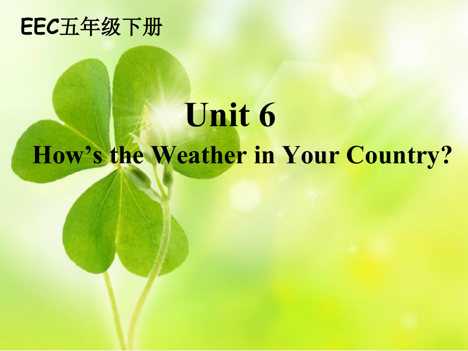 教科EEC版五下Unit6 How's the Weather in Your Country -Class 1Textbook p.54-ppt课件-(含教案)--(编号：b0196).zip