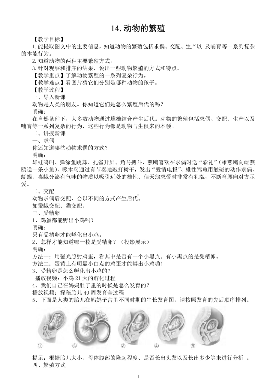 小学科学苏教版四年级下册第四单元第14课《动物的繁殖》教案5.doc_第1页