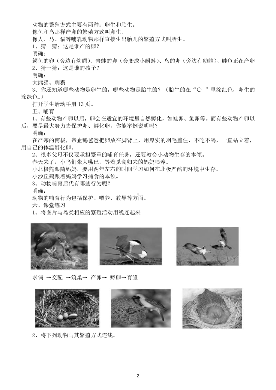 小学科学苏教版四年级下册第四单元第14课《动物的繁殖》教案5.doc_第2页
