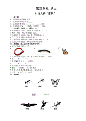 小学科学苏教版四年级下册第三单元《昆虫》练习题5.doc