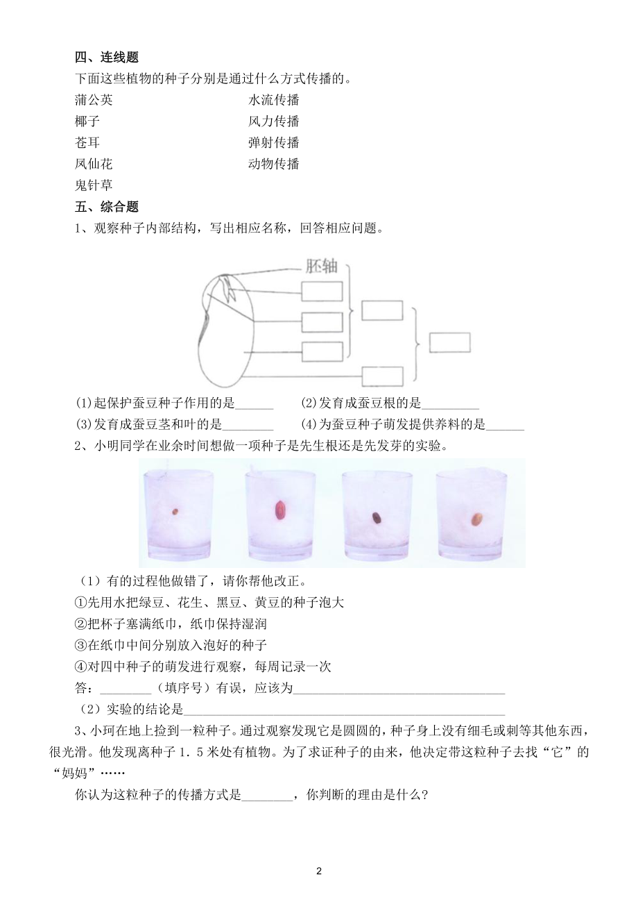 小学科学苏教版四年级下册第四单元第12课《用种子繁殖》练习题5.doc_第2页